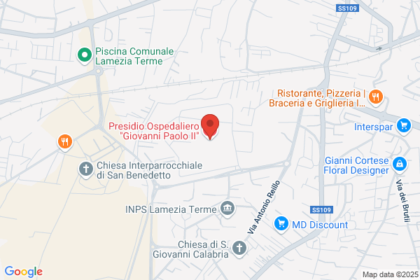 Palaia paolo (Dr.)