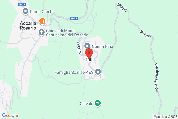 Galli Srl