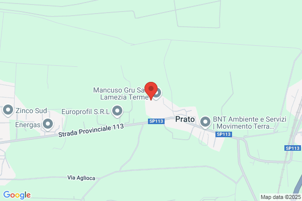 Mancuso Gru Sas