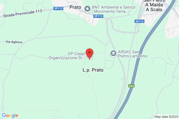 O.P. Coppi Organizzazione Di Produttori Ortofrutticoli Ed agrumari Co