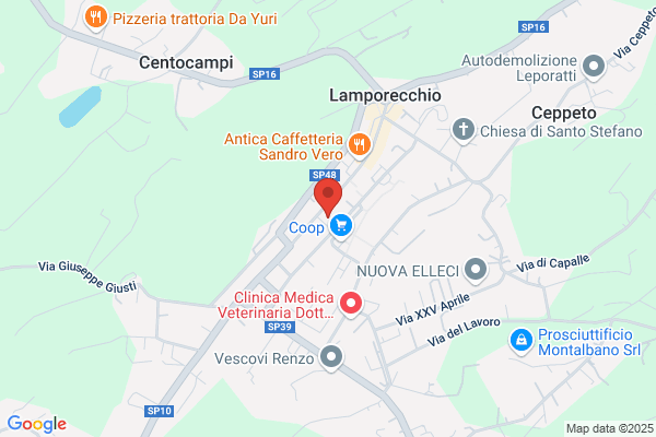 Il Nido Della Civetta