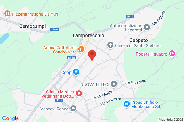 Scuole Pubbliche