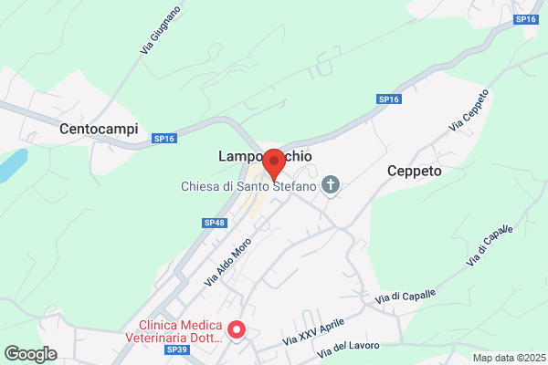 La Petina Teresa