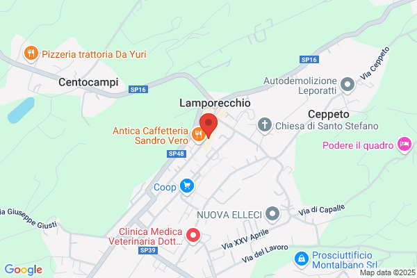 Marraccini salvo