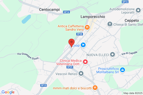 Tomaificio Julio Di Bucarelli M.