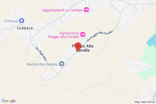 Ortigni corradino