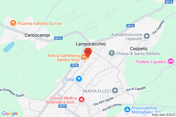 Gioielleria Citi Snc Di Fabbri Luca E C.