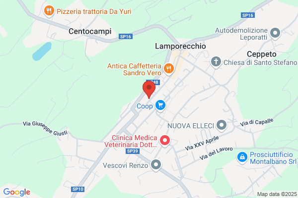 Salzarulo F.Lli Snc