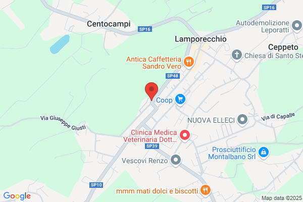 Tappezzeria Calugi di Calugi Massimo