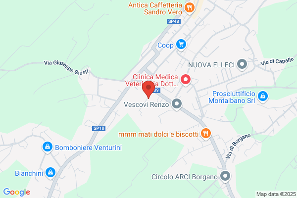 Evas Srl