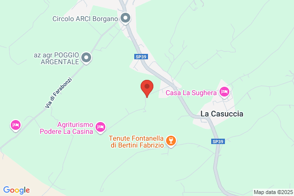 Funnemann Organizzazione