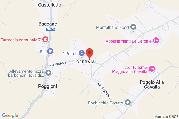 Panificio Nencioni Di Nencioni Dino