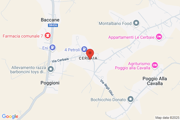 Ortofrutta Calugi E C. Snc