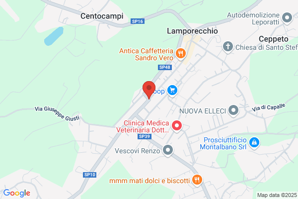 Romanelli alessandro