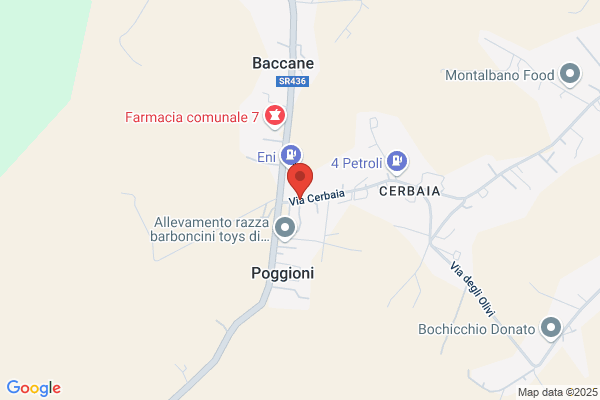 Fratelli Cei S.R.L.