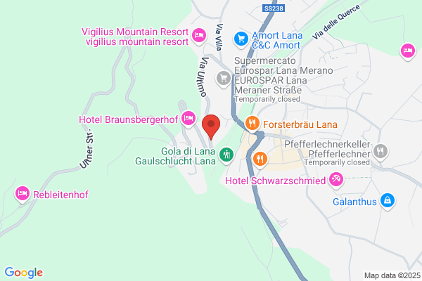 Gruber Ida