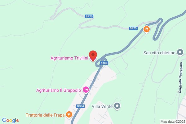 Trivilino giuseppe