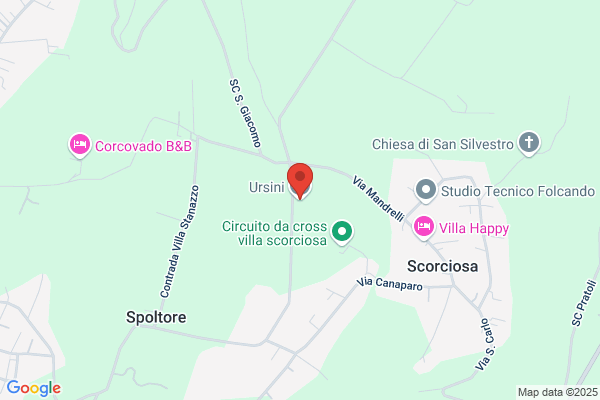 Ursini