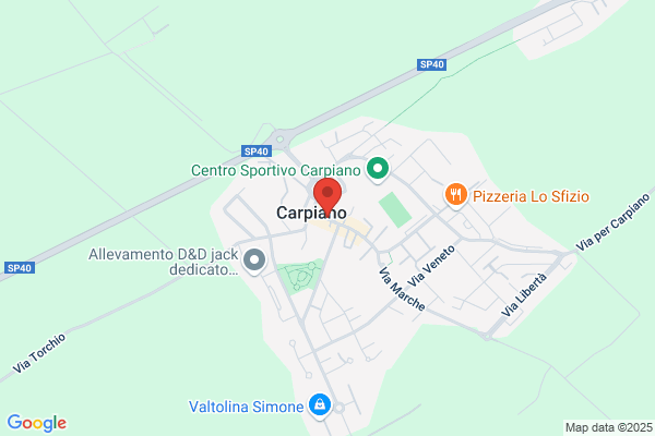 Due Esse Antitaccheggio
