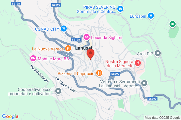 Manca Luigi Eredi Di Manca A. & c. sas