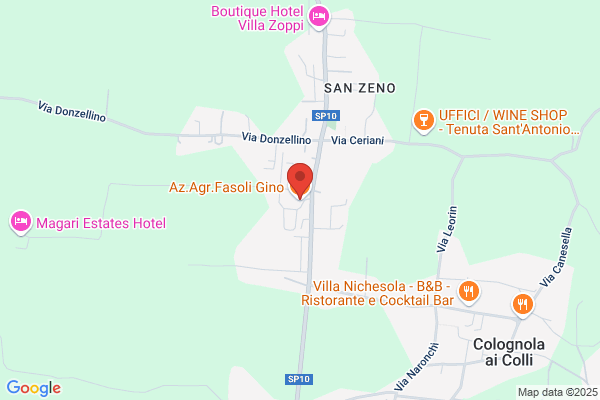 Fasoli    Lidio