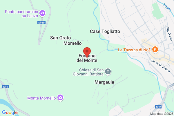 Fontana Francesco