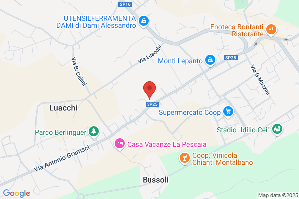 Scopificio Pierina Di Beneforti Gioni