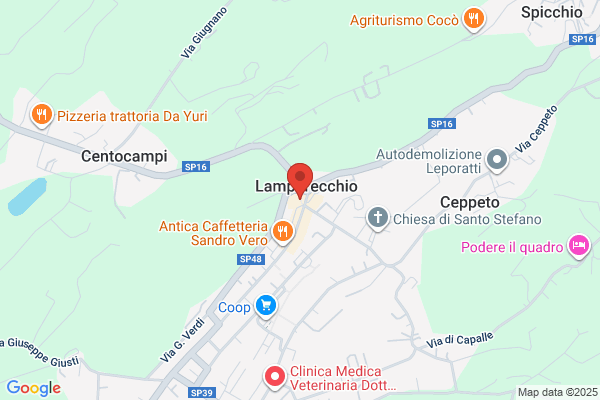 Pizzeria Trattoria Il Canniccio