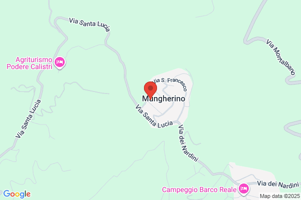 Versilia Com'Era