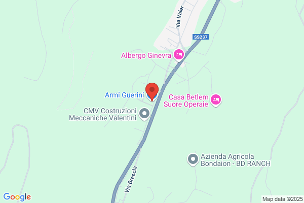 Armi Guerini