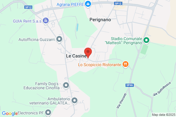 Mancini rino