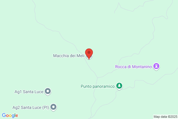 Macchia E Volterrani Sdf