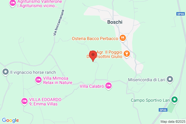 Ricci remoeppe