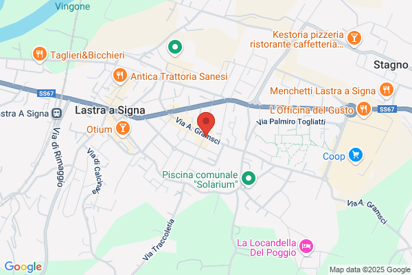 Nesti fulvio