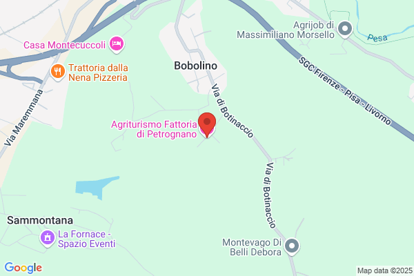 Fattoria Di Petrognano