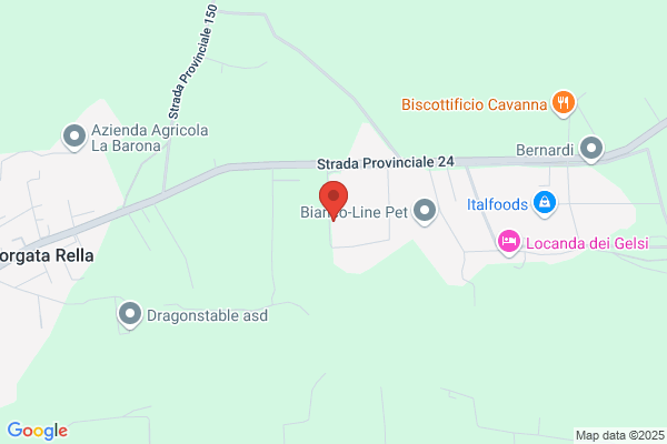 Vema S.A.S. Di Bruno Vergendo & C.