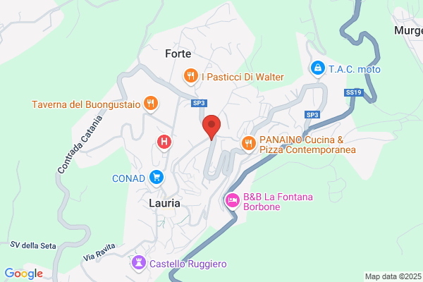 Riunione Adriatica Di Sicurta E Lassicuratrice Italiana