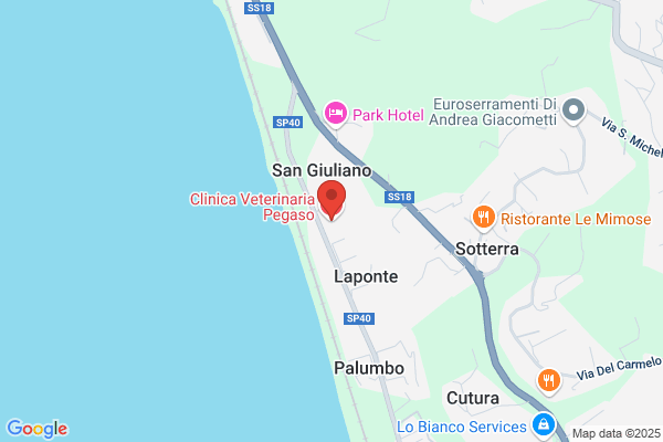 Ambulatorio Veterinario Dr.F.Sco Grasso francesco