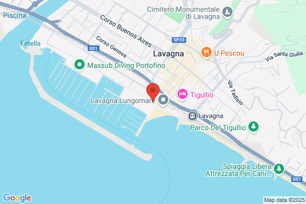Ristorante Il Delfino Verde S.A.S.