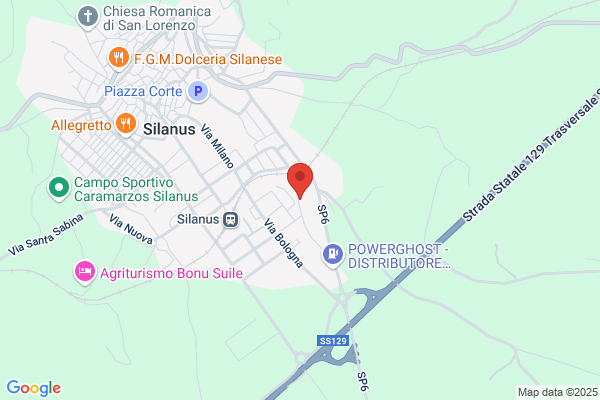 Nuova Camis Trasporti (S.N.C.)