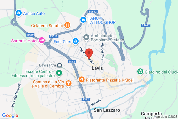 Festini Dino