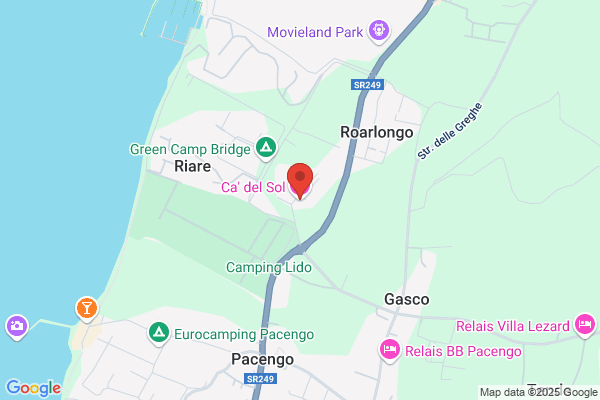 El Sapo Verde