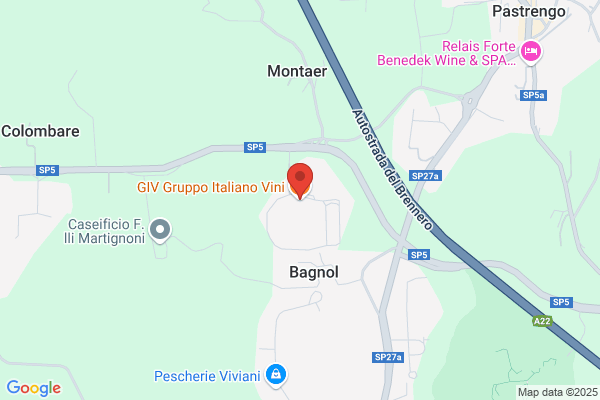 Gruppo Italiano Vini (Soc.Coop.R.L.)