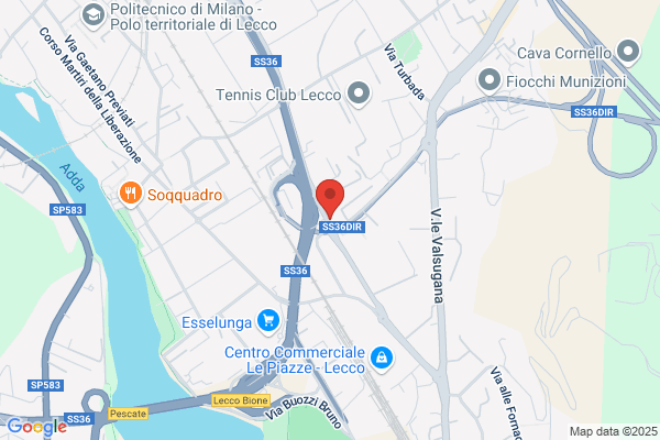 F.D.L. Auto Lecco