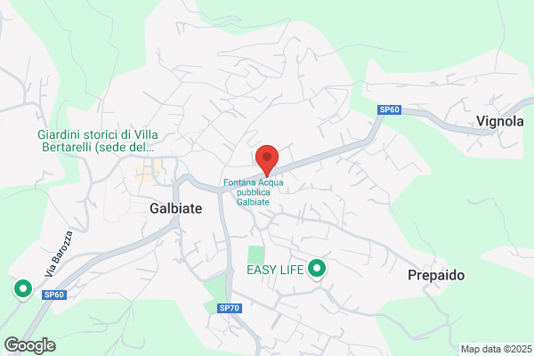 Carrozzeria La Galbiatese