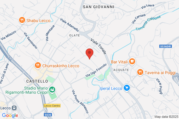 Gvu Concessionaria Di Pubblicita S.R.L.