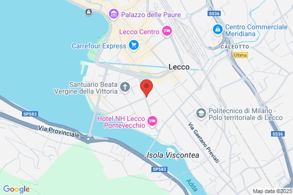 Lario Audit (S.R.L.)