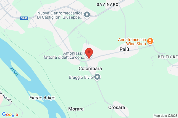Faccioni Leonorio