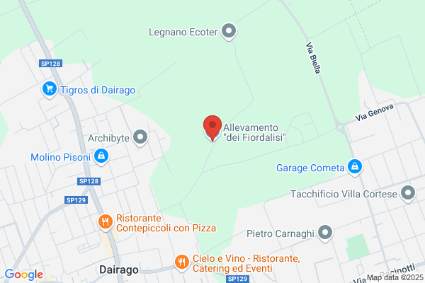 Fiordaliso S.R.L.