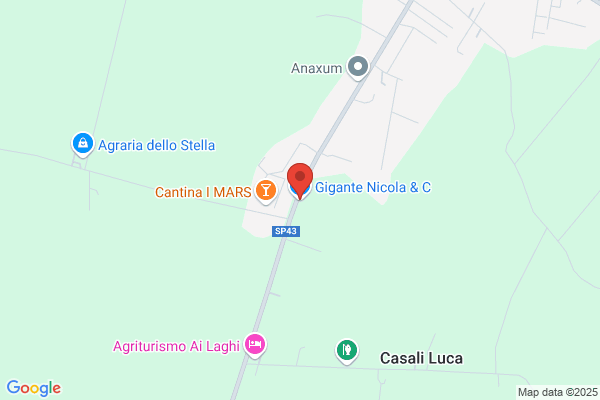 Gigante Nicola